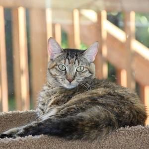 Meet your Posher, Roger